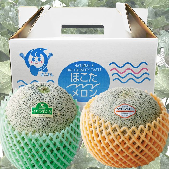 JAほこた4Lメロン（イバラキング・クインシー各1玉）