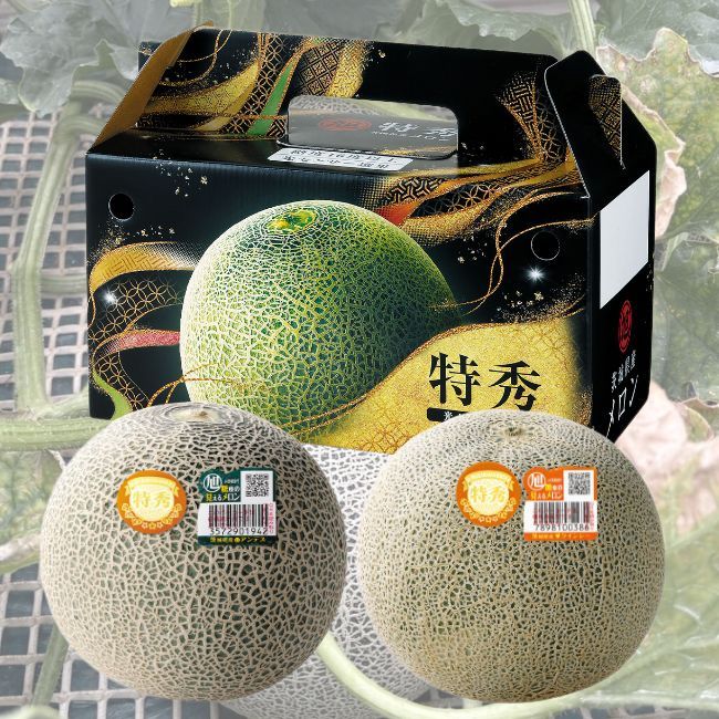 旭村メロン 特秀(赤・青セット)