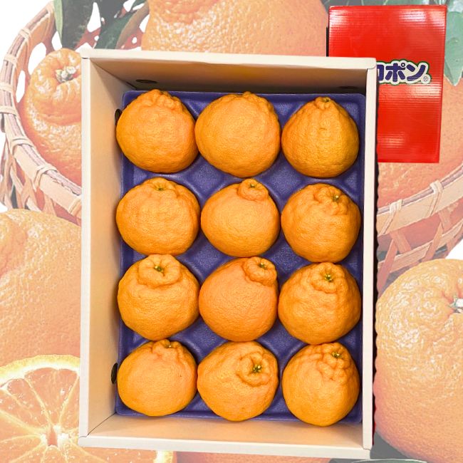 木熟デコポン　化粧箱