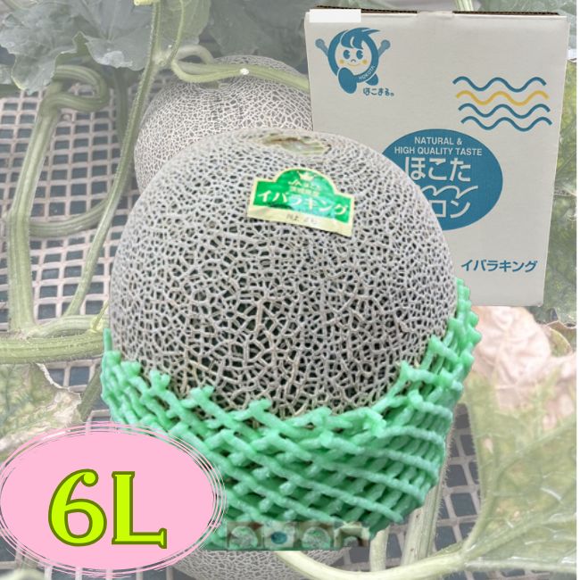 茨城県産 イバラキングメロン 特大1コ箱