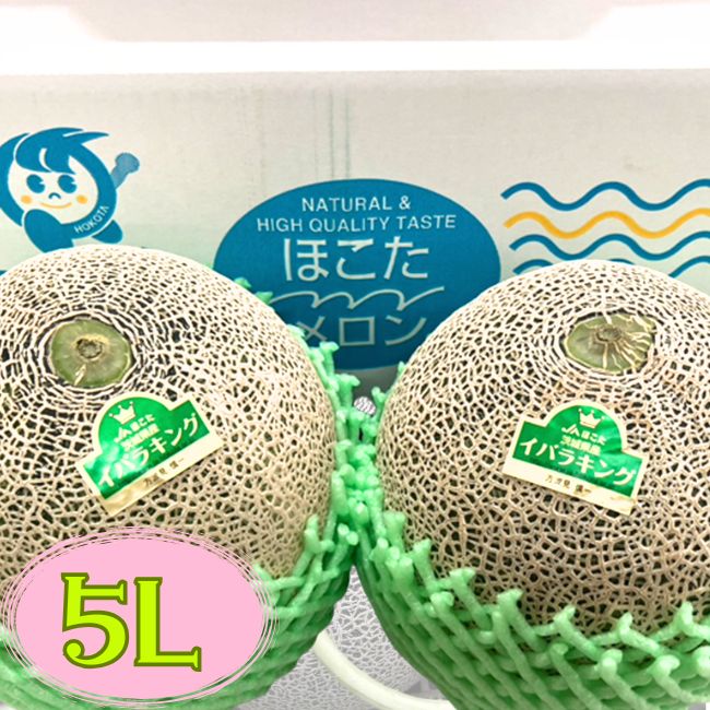 茨城県産　5L大玉イバラキングメロン（2玉）