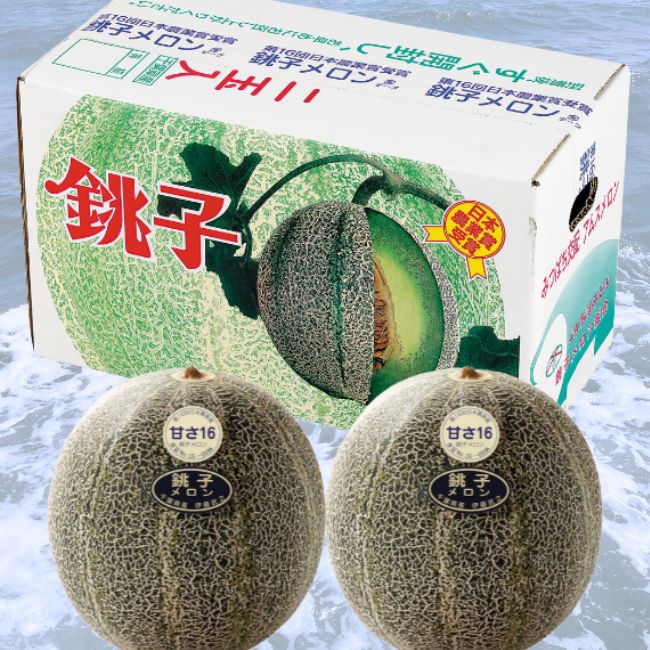 JAちばみどり　銚子アムスメロン