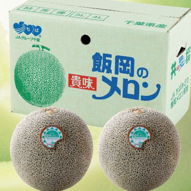 JAちばみどり　飯岡タカミメロン