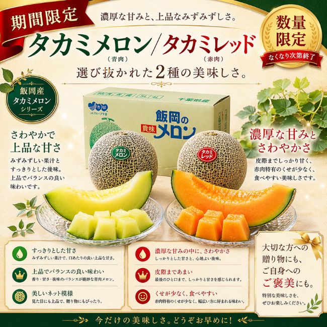 JAちばみどり　飯岡メロン（赤・青セット）