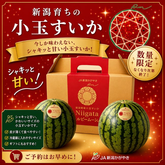 Ｎｉｉｇａｔａルビームーンすいか　化粧箱