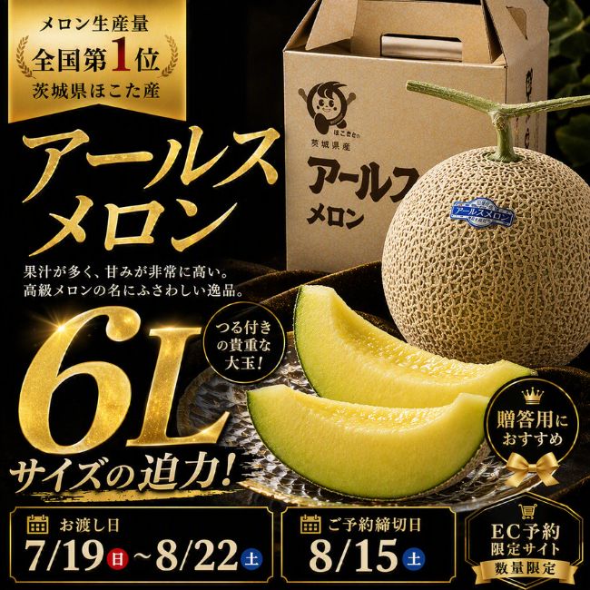 茨城県産 特大6Lアールスメロン
