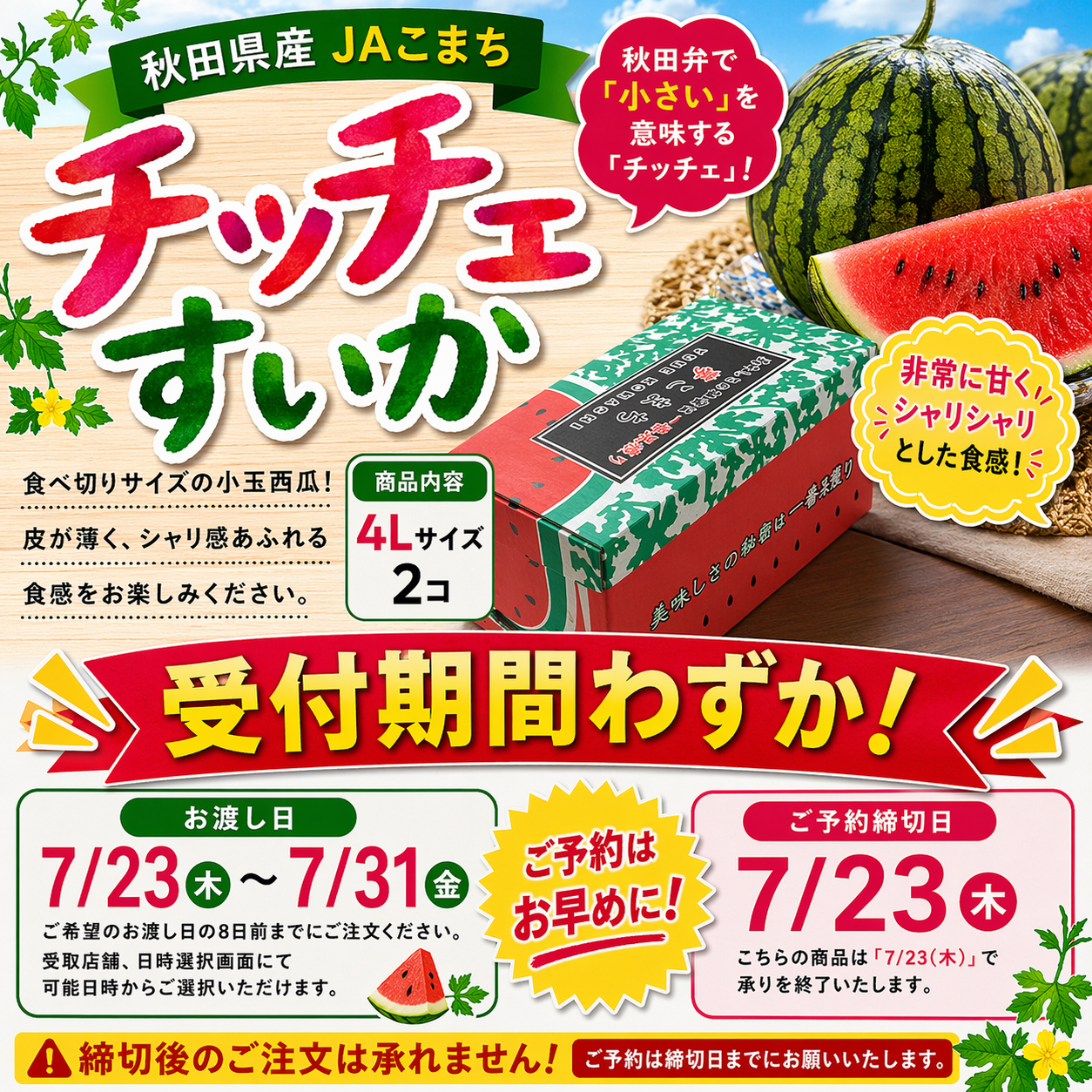 秋田県産JAこまち チッチェすいか 化粧箱