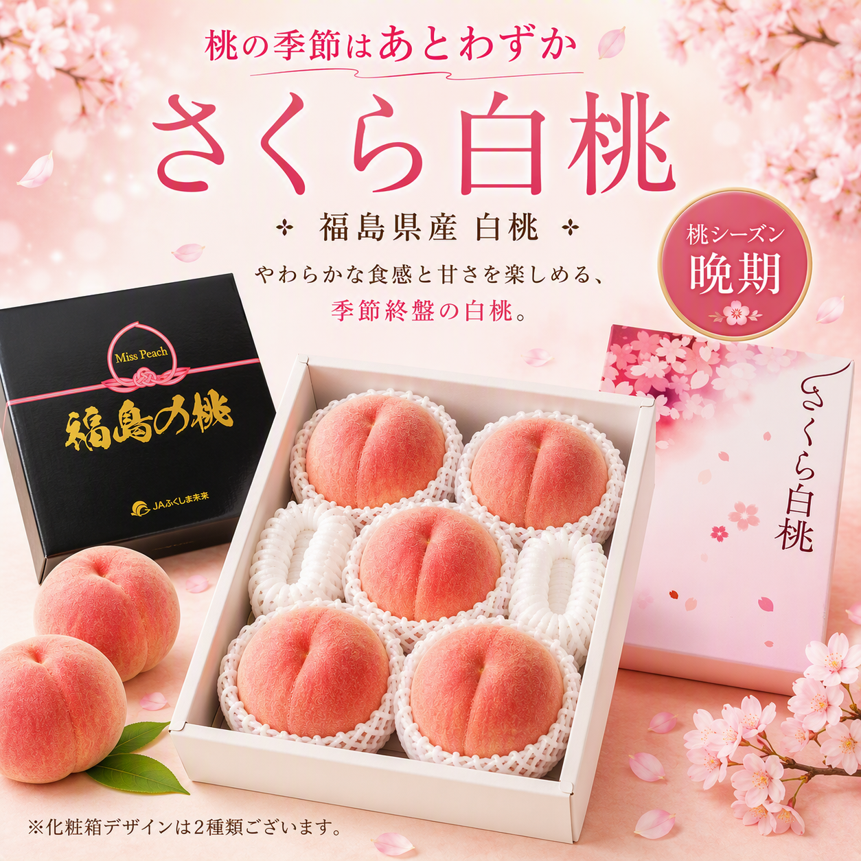 JAふくしま未来　さくら白桃　化粧箱