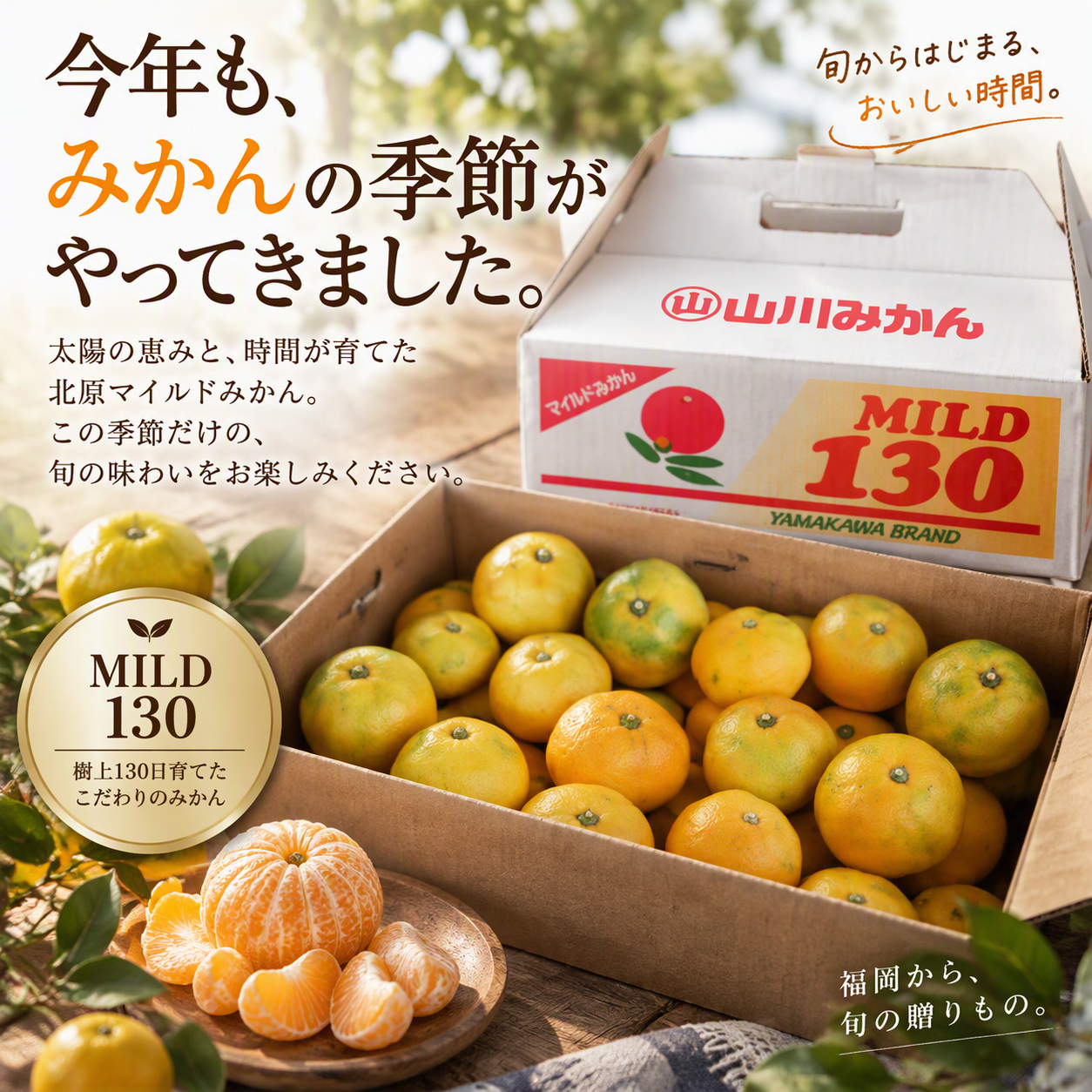 JAみなみ筑後山川　北原マイルドみかん 3kg箱