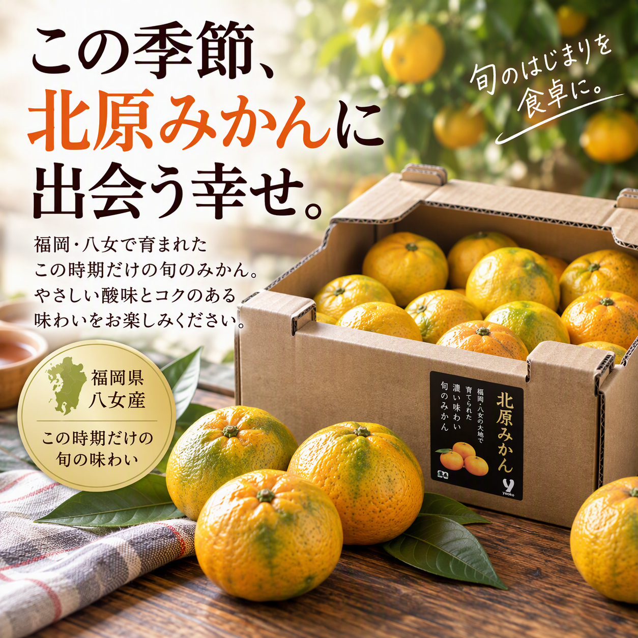 北原みかん箱（自家消費用）