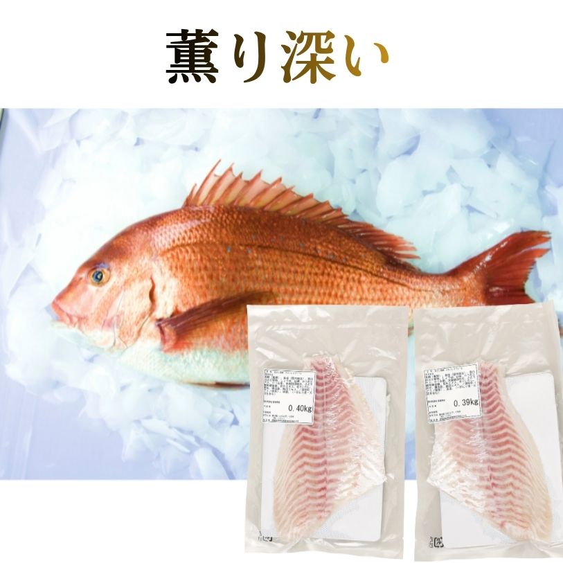 愛媛県産　ふかうら真鯛スキンレスフィーレ（白だし）