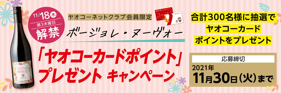 topBanner2