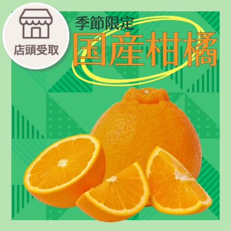 [季節限定]国産柑橘