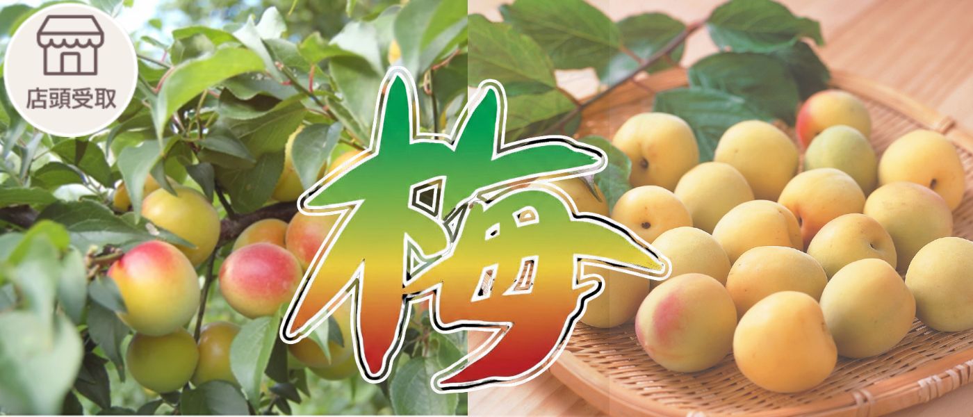 ［季節限定］南高梅