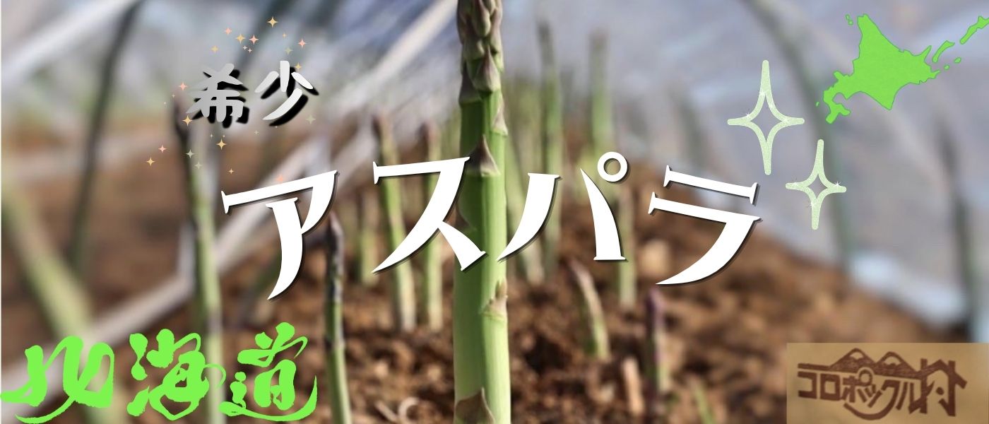［季節限定］アスパラ