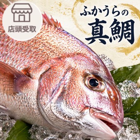 ［期間限定］鯛