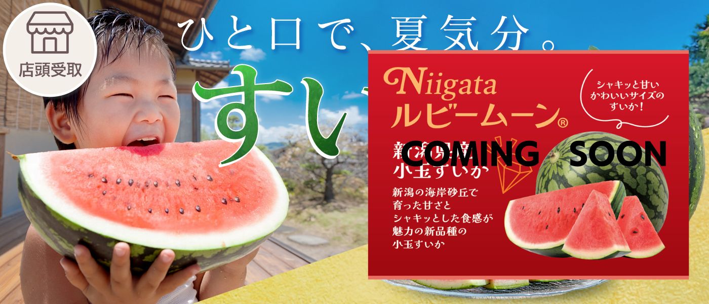 【季節限定】すいか