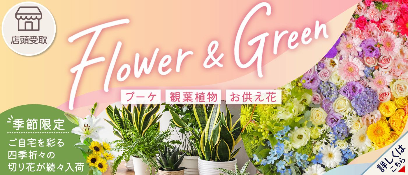 【期間限定】季節の花卉