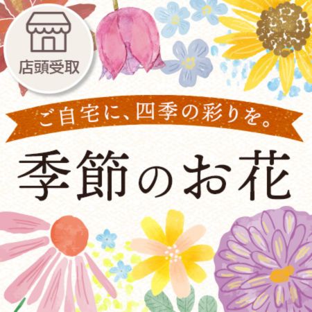 【期間限定】季節の花卉