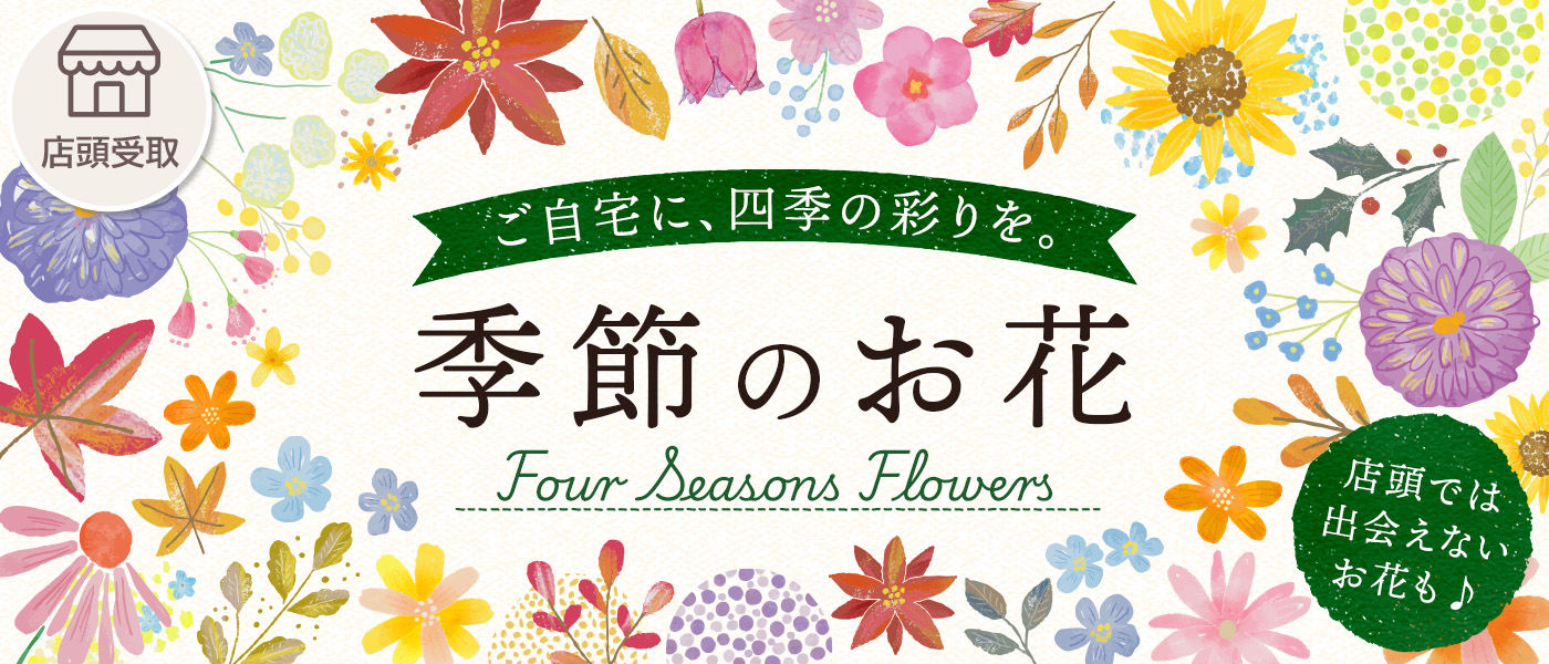 【期間限定】季節の花卉